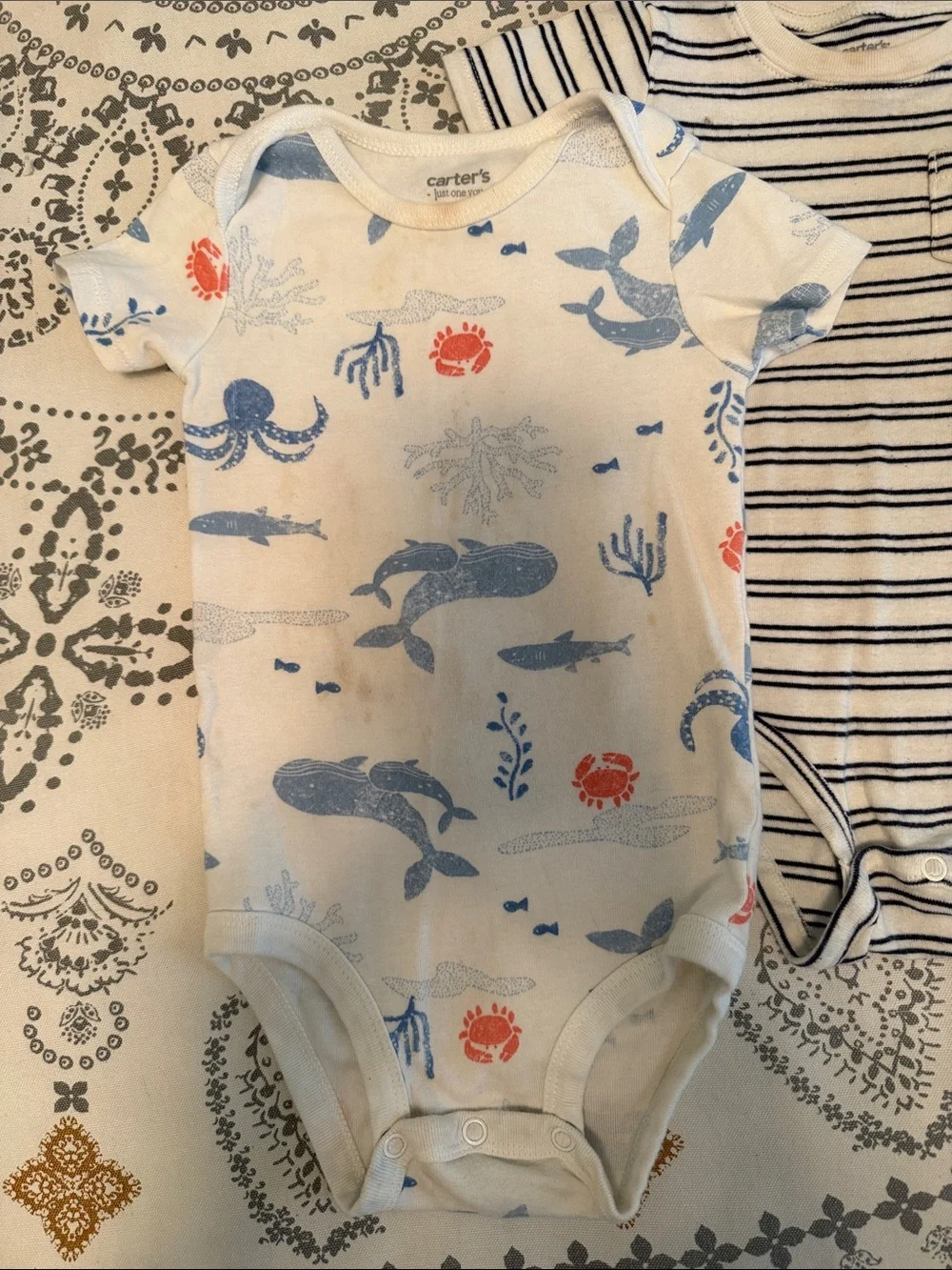 Short-Sleeve Baby Bodysuit Set of 4
